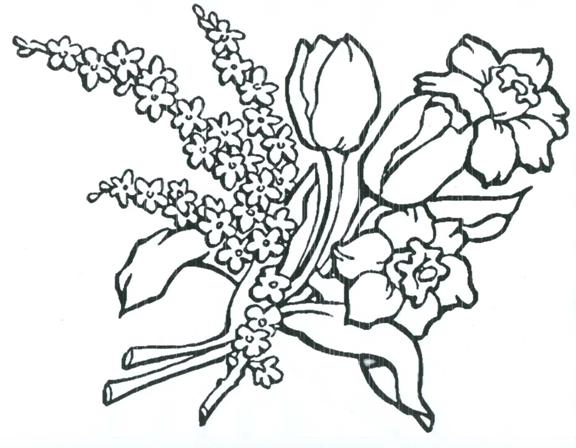 zinnia coloring pages - photo #31